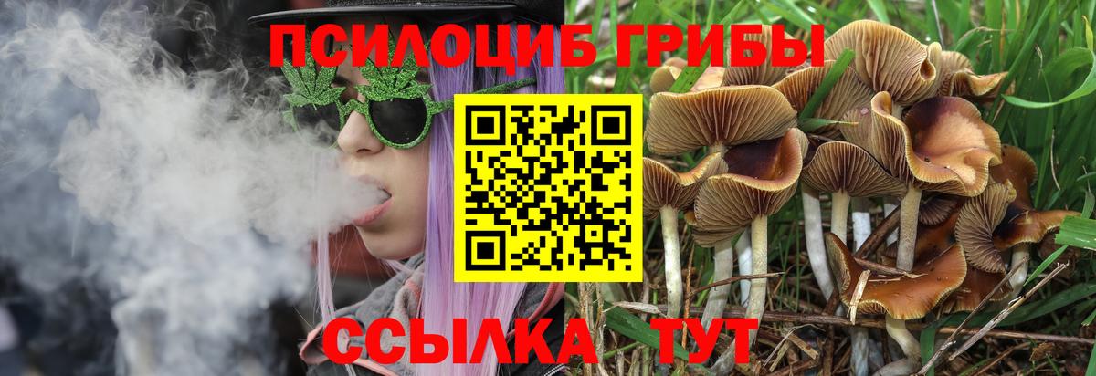 Галлюциногенные грибы Cubensis  Вход с VPN  Псилоцибиновые грибы мицелий  Дмитров 